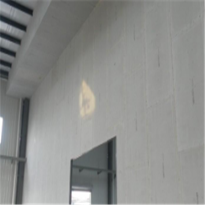 阜平宁波ALC板|EPS加气板隔墙与混凝土整浇联接的实验研讨